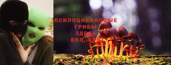 герыч Лиски