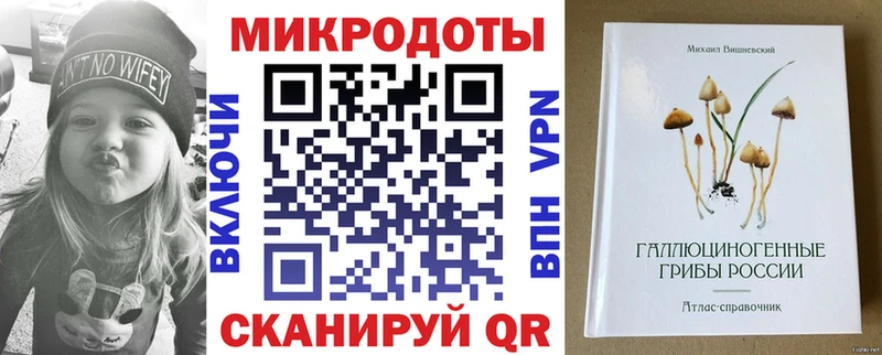 Купить где Нальчик Галлюциногенные грибы мухоморы
